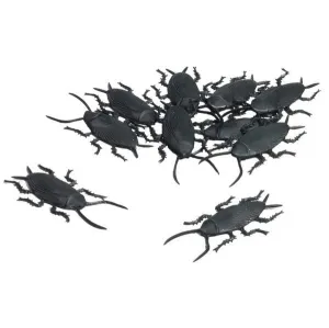 Cockroaches Pack Of 10