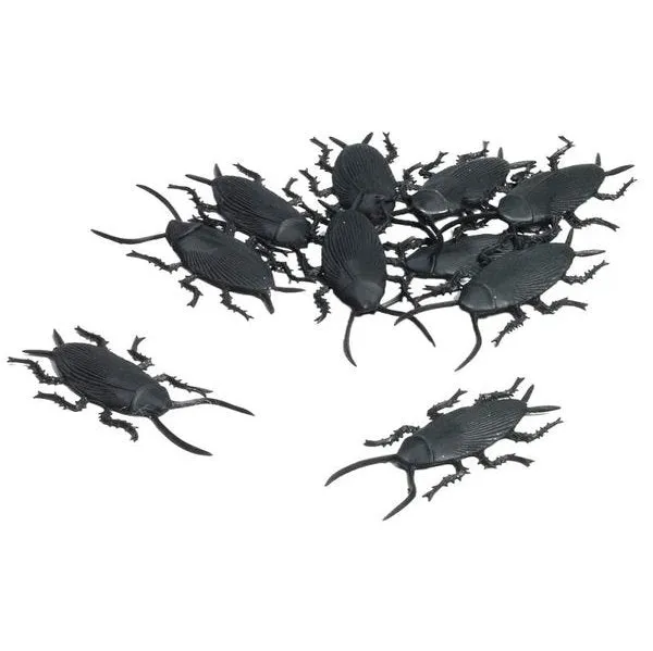 Cockroaches Pack Of 10
