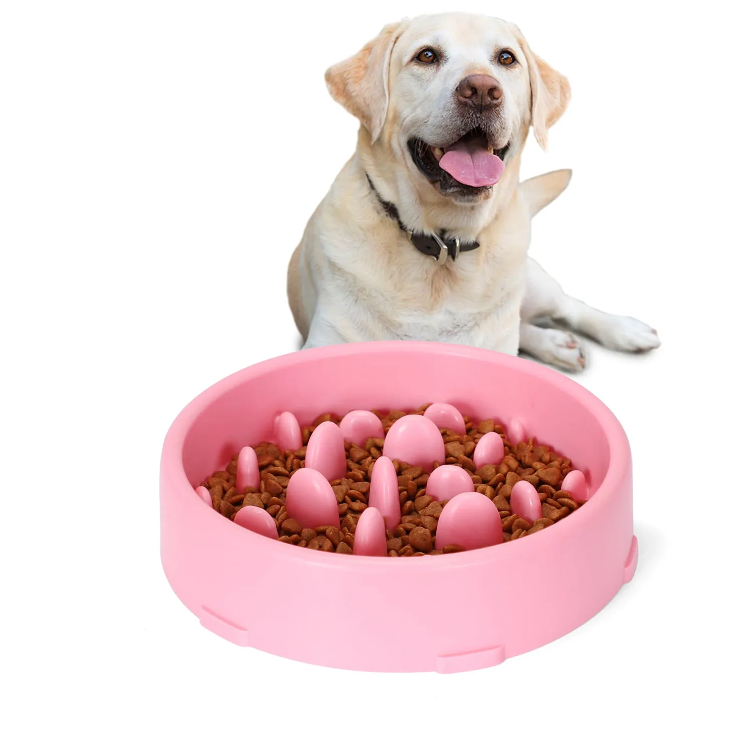 Dog Feeder Slow Eating Pet Bowl Eco-friendly Durable Non-Toxic Preventing Choking Healthy Design Bowl For Dog Pet by JASGOOD