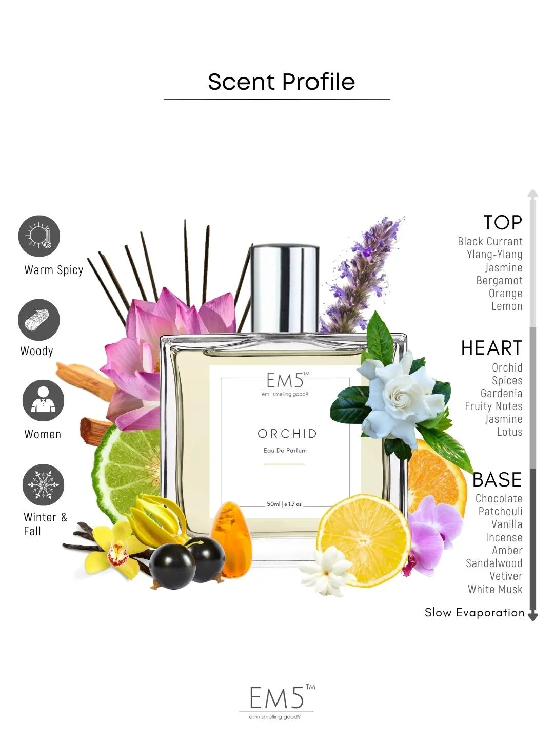 EM5™ Orchid Perfume EDP Spray for Women | Warm Spicy Earthy Woody Fragrance Accords | Luxury Gift for Her | Variants Available: 50 ml Spray / 15 ml Spray