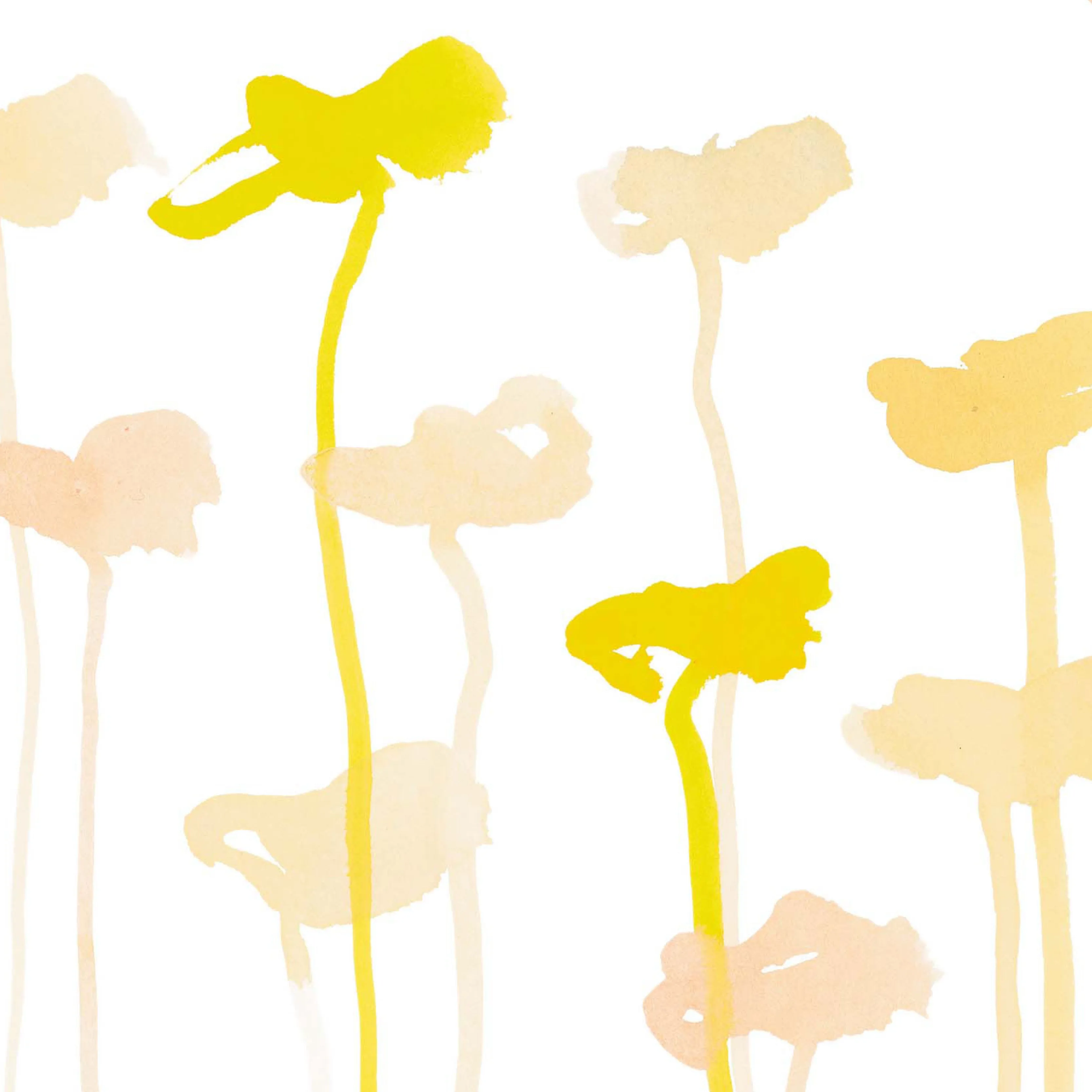 Katharine-Daffodil Non-Woven Vellum