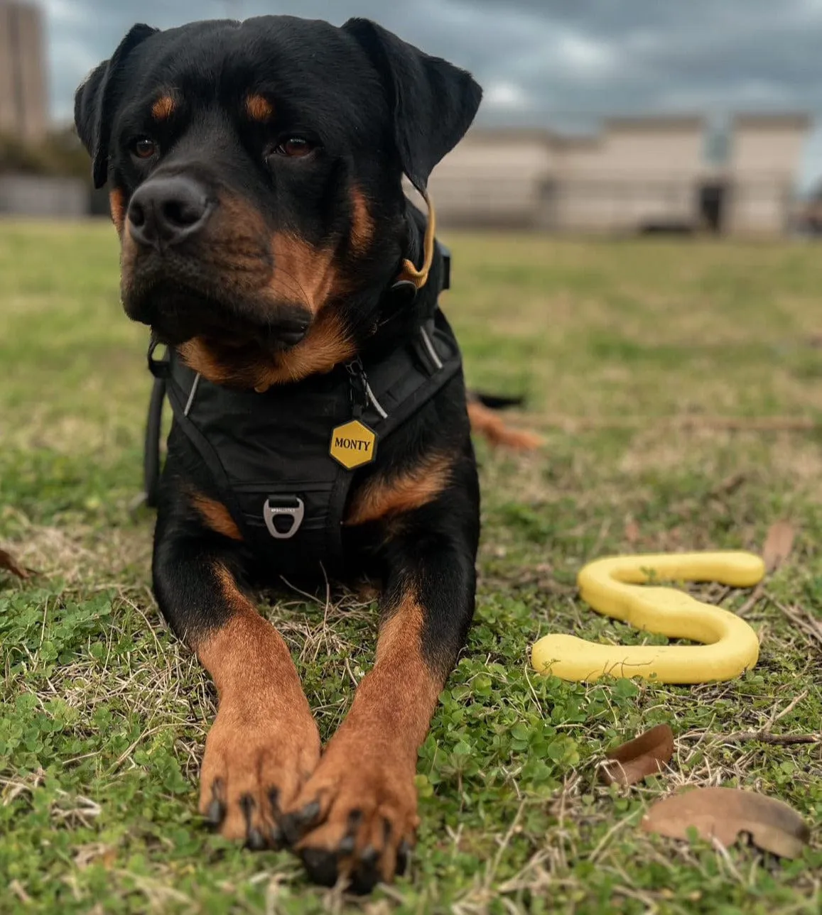 Mustard Yellow Silicone ID Tag