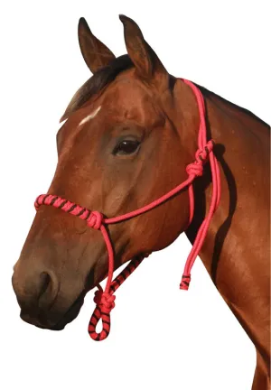Rope Halter Two Tone Woven