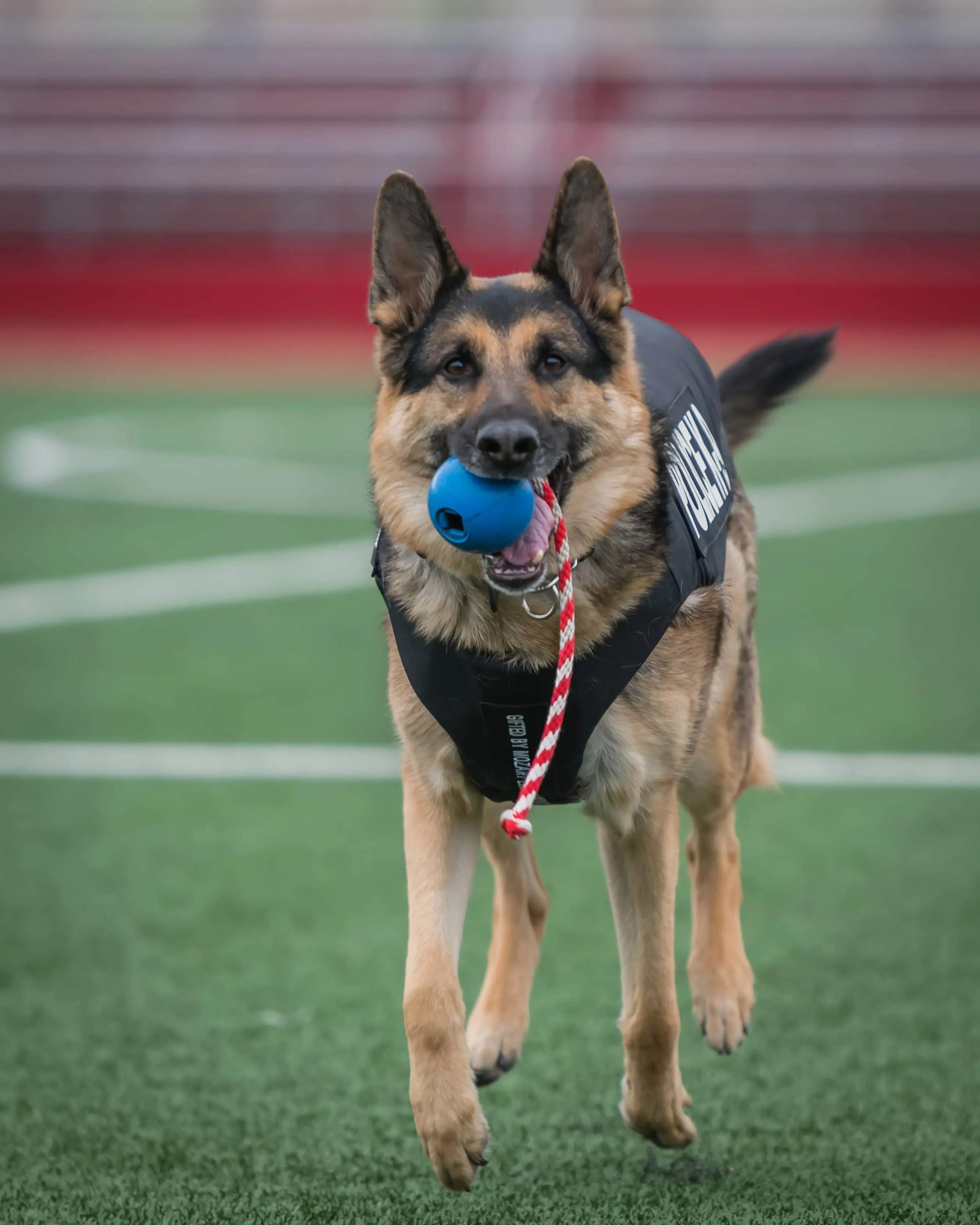 SodaPup USA-K9 Cherry Bomb Chew Toy - Red / Large