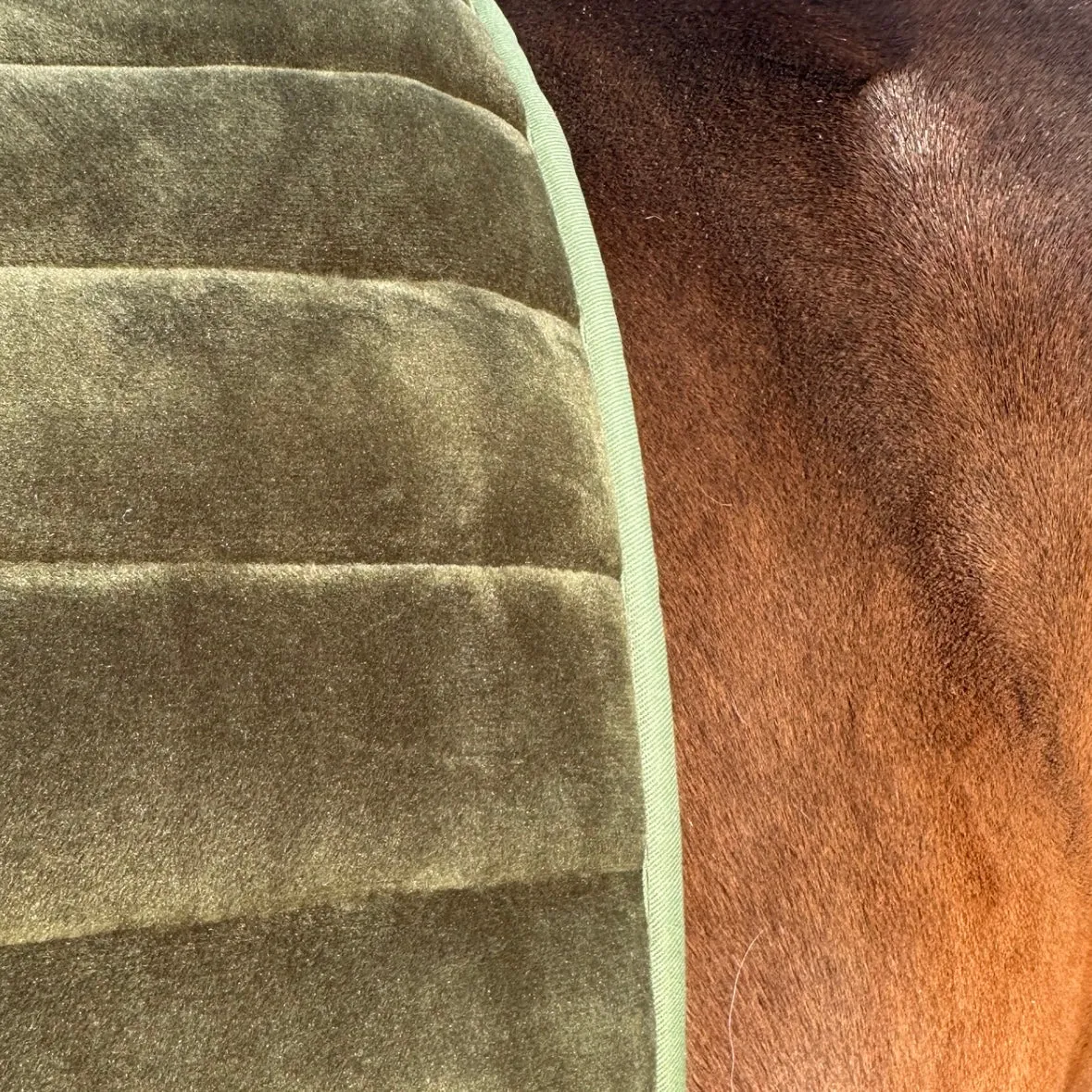 Suede Tech Dressage Saddle Pad Hunter Green