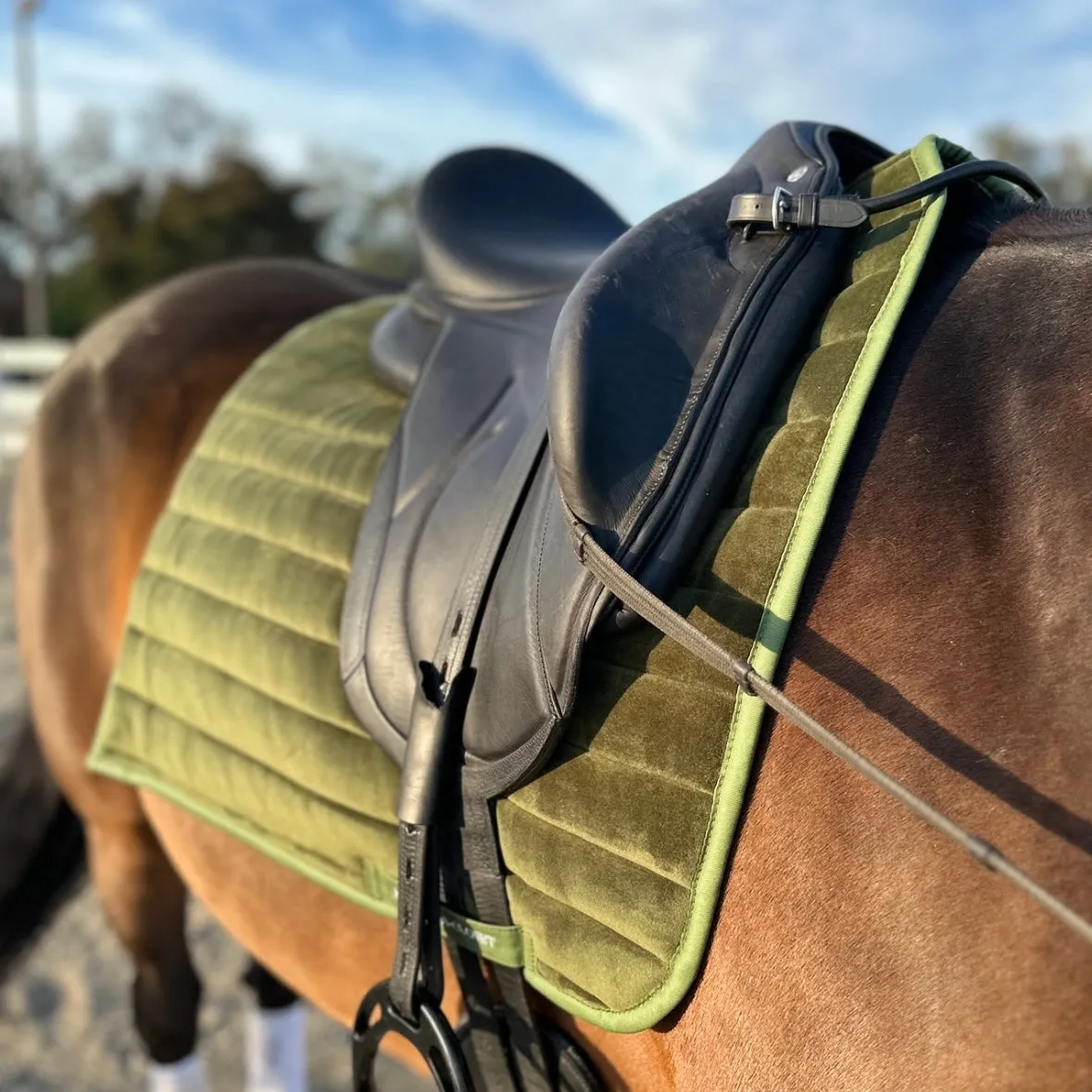 Suede Tech Dressage Saddle Pad Hunter Green