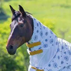 TK87680N-M-Dand Neck Cover- Tempest Fly Sheet
